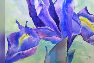 Painting Flowers in Watercolor